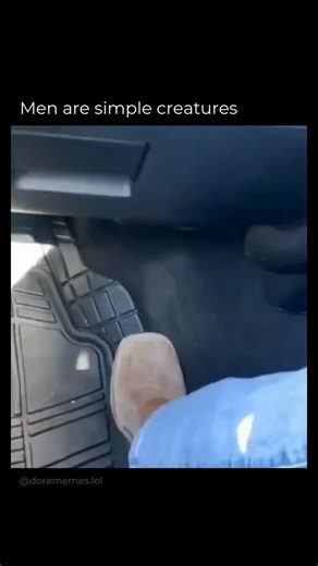 dorememes | Vibe Check at the Checkpoint 🎶🚓 Who says security checks have to be serious? In this hilarious moment, a driver and a police officer turn... | Instagram