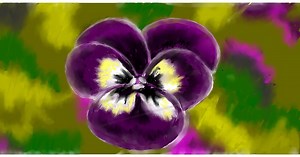 Cvijet - crteži: Galerija i upute za crtanje