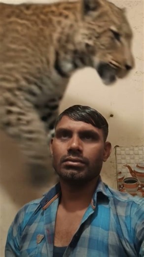 tutorial Graduation filter 🎓💀 #graduation #filter #moneylove #funny #trending