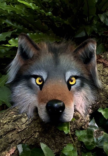Finished commission 🐺 #costume #timberwolf #wolf #mask #wolves #seawolf #therian #therianthropy #therians #therianmask #theriancommunity #theriantiktok #theriansoftiktok #therianthrope #wolftherian #therianthropy🐾 #theriantutorial #theriansafeplace #therianmasks #wolftherians #larp #cosplay #furry #fursuit