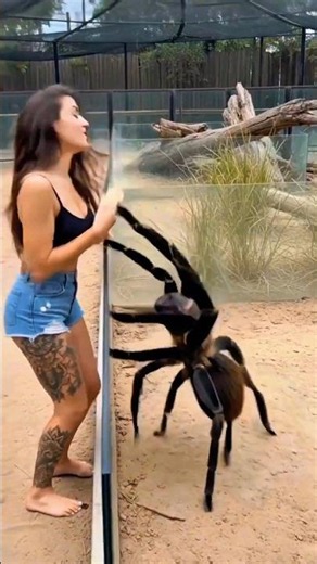 Cute Wildlife Animals Transformation!! #animals #transformation #wildanimals