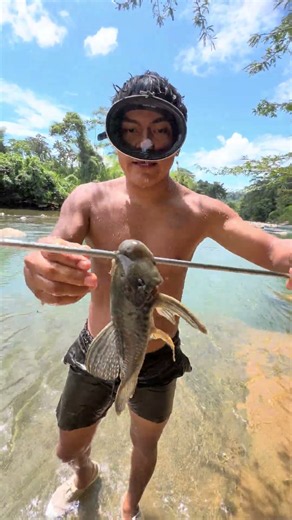 Fulll pesca de verano