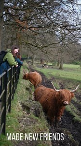 😍 VisitScotland Hostelling International #Scotland #travelgram | Hostelling Scotland