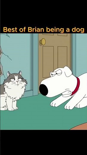 Brian being a dog moments