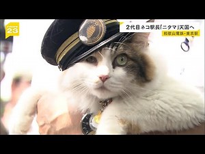 ２代目ネコ駅長「ニタマ」が死ぬ 和歌山電鉄のＰＲに貢献 社長代理の職にも就く（2025年11月22日）