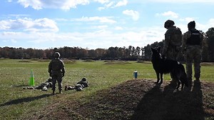 🎯 Ready...Aim...Marksmanship 🎯 Ever wonder what it takes to receive the German Armed Forces Marksmanship Badge? Check out the video to learn about the rigorous qualification our service members endured to receive this honor! Air Combat Command l U.S. Army Training and Doctrine Command l United States Air Force l U.S. Army l Bundeswehr | Joint Base Langley-Eustis