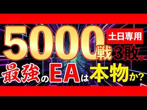 [New FX Strategy] Earn money only on weekends? A pro analyzes the results of running an EA with a...