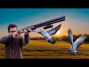 Κυνήγι Φάσσας από την Ανατολή έως τη Δύση του Ηλίου !!!