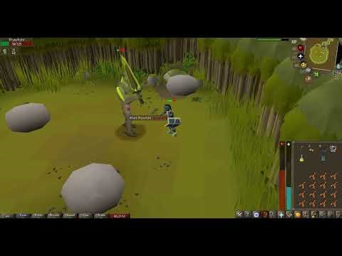 Old School RuneScape Bryophyta Boss Fight 12 times with rune battle axe to get boss drop.