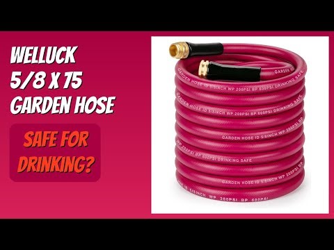 REVIEW (2026): WELLUCK 5/8 x 75 Garden Hose. Features