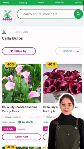 Discover Stunning Cala Lilies: 1,500 New Varieties for Spring 2026
