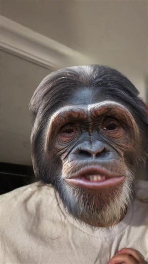 Understanding the LIVE Incentive Program and Monetization