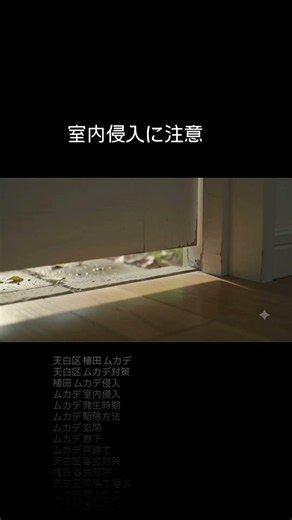 天白区植田】朝の廊下で気づいた違和感｜ムカデ侵入に注意