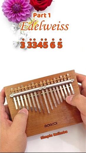 Edelweiss (The Sound of Music) - Part 1