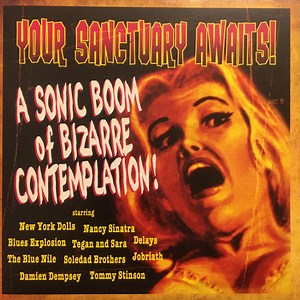 Various - Your Sanctuary Awaits! A Sonic Boom Of Bizarre Contemplation!