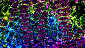 Fractal, Texture, Beautiful Wallpaper. Free Stock Video