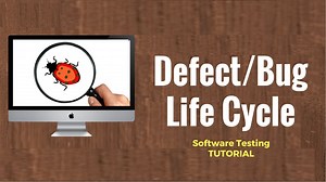 Defect/Bug Life Cycle: Software Testing Tutorial 23 : shalfeiのblog
