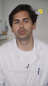 Les déséquilibres du microbiote intestinal pourraient être impliqués dans les MICI. C’est pourquoi le Pr Philippe Seksik et son équipe s’intéressent aux interactions qui existent entre les bactéries du microbiote et les cellules intestinales. Ils ont mis en évidence des molécules bactériennes qui pourraient jouer un rôle lors des phases inflammatoires des MICI. Ils souhaitent aujourd’hui explorer leur impact sur le décours de ces pathologies. | Fondation pour la Recherche Médicale