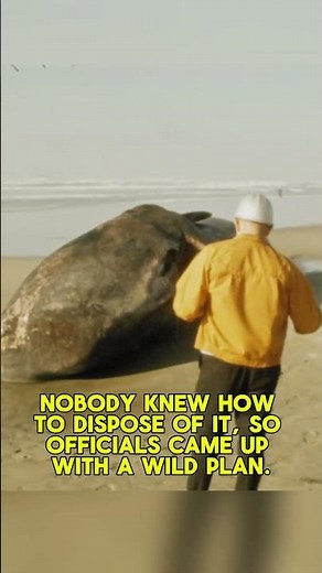 🐋💥 The Exploding Whale of Oregon | Forgotten in 30 Seconds #history #historyshorts #historyfacts