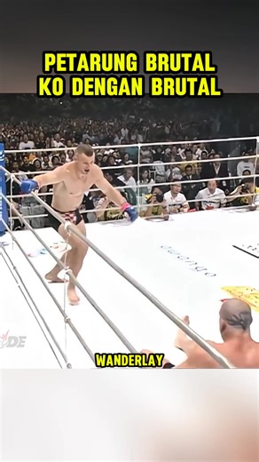 Petarung brutal kalah dengan brutal #mma #ufc #wwe | Tuan Tawa