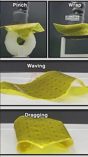 Self-folding Robot Sheet