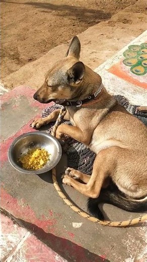 ruby vlogs 7#minivlog subscribe my channel