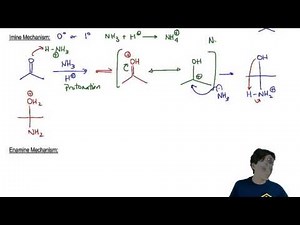 Imines and Enamines: Mechanism