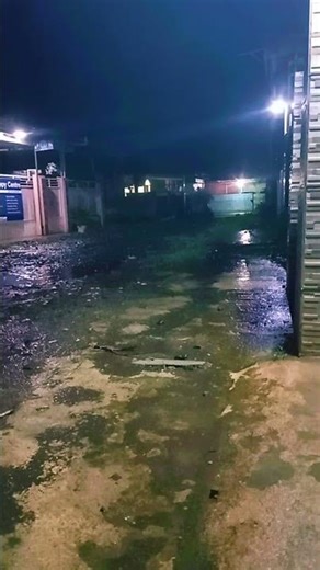 Fall Asleep Fast with Gentle Night Rain Sounds🌧️🌙💤