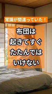 常識が間違っていた！布団は起きてすぐたたんではいけない #布団 #家事 #掃除 #ダニ対策 #カビ対策 #生活の知恵 #健康 #朝の習慣 #清潔