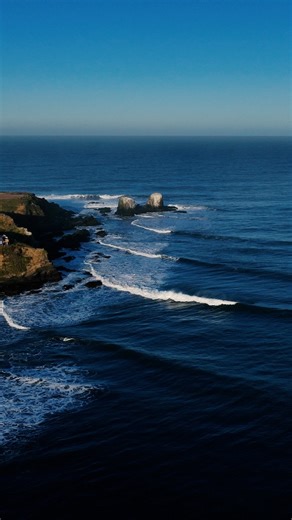 Parque Punta de Lobos on Instagram: "Este año Punta de Lobos fue escenario de muchas manos, muchas conversaciones y muchas ganas de cuidar. Voluntariados, educación ambiental, restauración ecológica y comunidad hicieron posible seguir protegiendo este lugar. Gracias por estar, por apoyar y por creer. Seguimos cuidando el parque, juntas y juntos 🌊 🌵 Gracias a nuestros colaboradores con quienes compartimos el mismo propósito. @fundacionibanezatkinson @patagoniachile @laplayawines @hotelalaia @lo