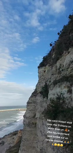 Explore the Stunning Coastal Cliffside Views