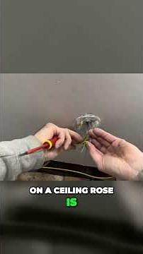 Mastering Ceiling Rose Wiring Essential Tips for Electrical Switches