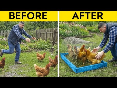 We Built the Coziest DIY Shelter for Farm Animals 🐐✨