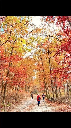 Connetquot River State Park Preserve,Oakdale,New York