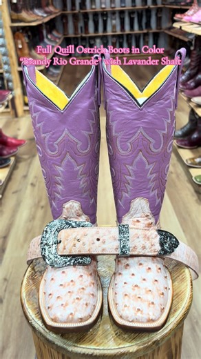 Full Quill Ostrich Boots for Rodeo Season in Houston