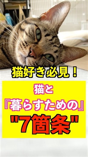 猫好き必見！猫と『暮らすための』"7箇条"