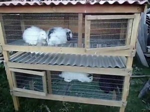 Jaulas Casera de 2 pisos para Conejos - Cuyes - Pollos (Rabbit HUTCH)