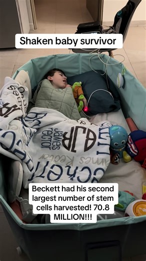 Christy Rector (@christyrector0)’s video of stem cell harvesting