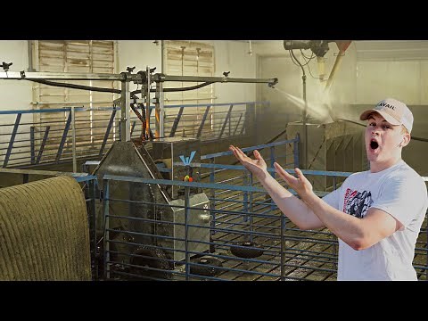 Washing Our Barn With An Automatic Power Washer