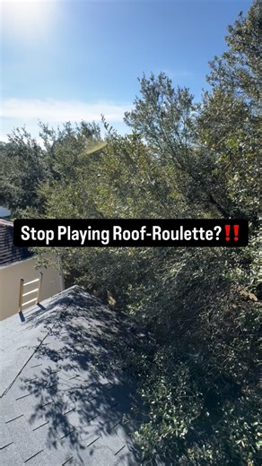 Will your insurance cover a fallen branch? Not if they can prove it was a ‘pre-existing hazard. ⚠️Neglected maintenance can lead to denied claims. We help you stay proactive by removing hazardous limbs before the wind does it for you. Overhanging branches trap moisture, rot your shingles, and give pests an all-access pass to your attic. We specialize in ‘roof-clearing’ trims that keep your home dry and pest-free! Safe, insured, and professional. Call or Text 407.556.5182#icuttreesllc #treeservic