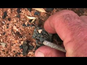Fossicking Along the Golden Pipeline…Western Australia