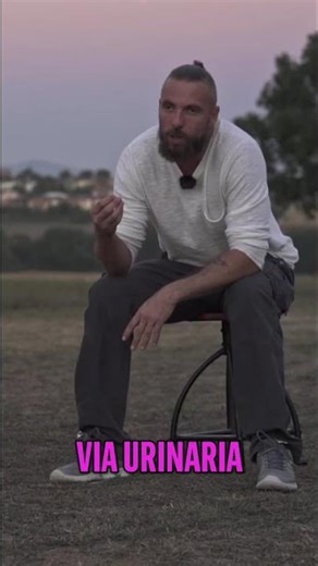Dalmata: Salute e Cura del Cane Perfetto #shorts