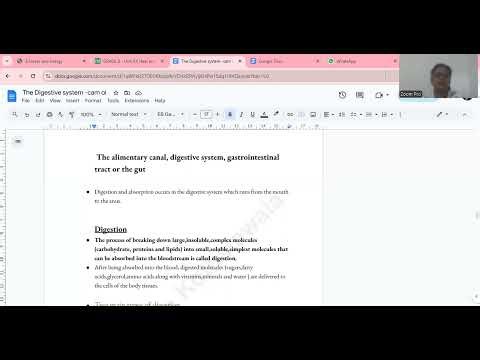 Cambridge IGCSE Alimentary Canal