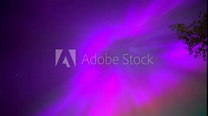 Colorful northern lights, Purple and green aurora, northern Lights over tree line, Aurora borealis polar lights set. Glowing in sky different shapes and color northern lights, Summer aurora on lake