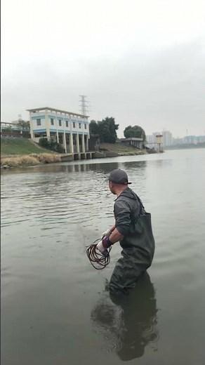 Throw a net to catch a whole school of tilapia | China Fish Hunter Ep195