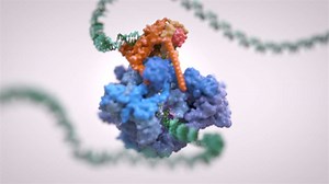 Scientists image DNA being read in unprecedented detail (VIDEO) - ProtoThema English