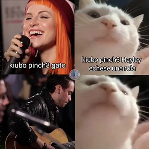 248K views · 20K reactions | Paramore: my only exception on Reels | Facebook