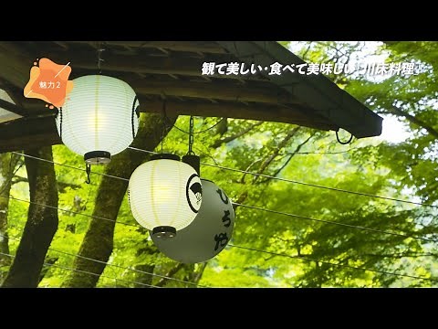 旅する動画 京都の魅力案内人「京・貴船・ひろや 編」【JTB公式 official】