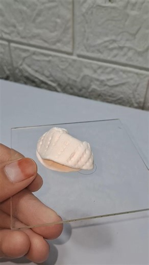 DIY Seashell Clay 🐚✨ | Easy Beach Craft | Aesthetic Mini Art #shorts