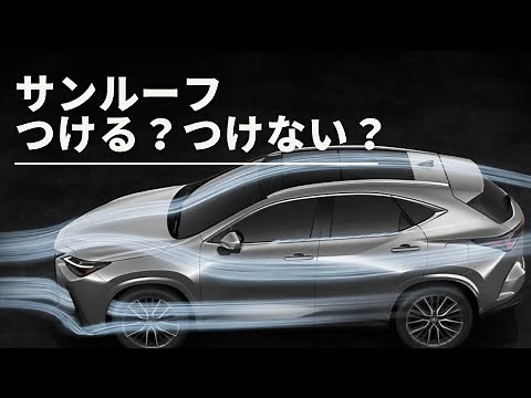 [Lexus NX] Moonroof or Panoramic Roof: My Choice and Reasons